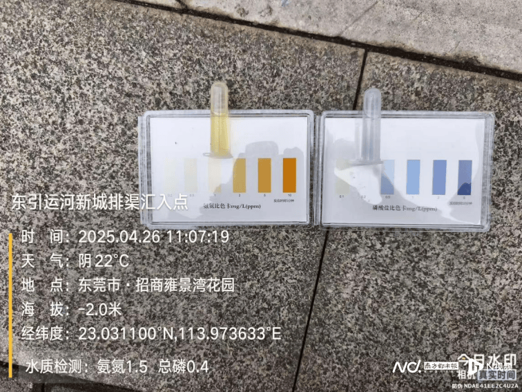 皇冠信用网开户_东莞寒溪河出现大片死鱼皇冠信用网开户!官方回应:天气原因