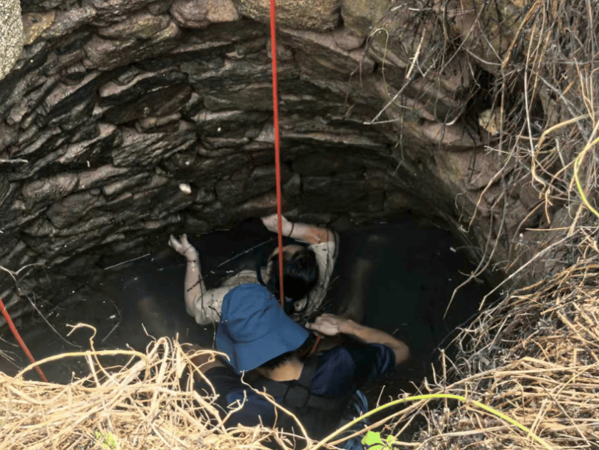 怎么申请皇冠信用網_多条蛇缠身怎么申请皇冠信用網,女子被咬了也不敢动!深井内苦撑54小时后……