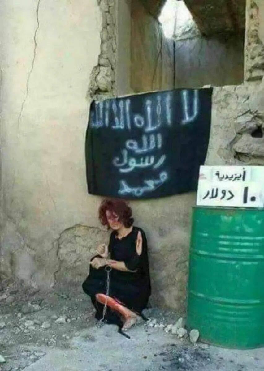 信用網皇冠申请注册_美国迎来一位最特殊客人信用網皇冠申请注册,世界哭笑不得