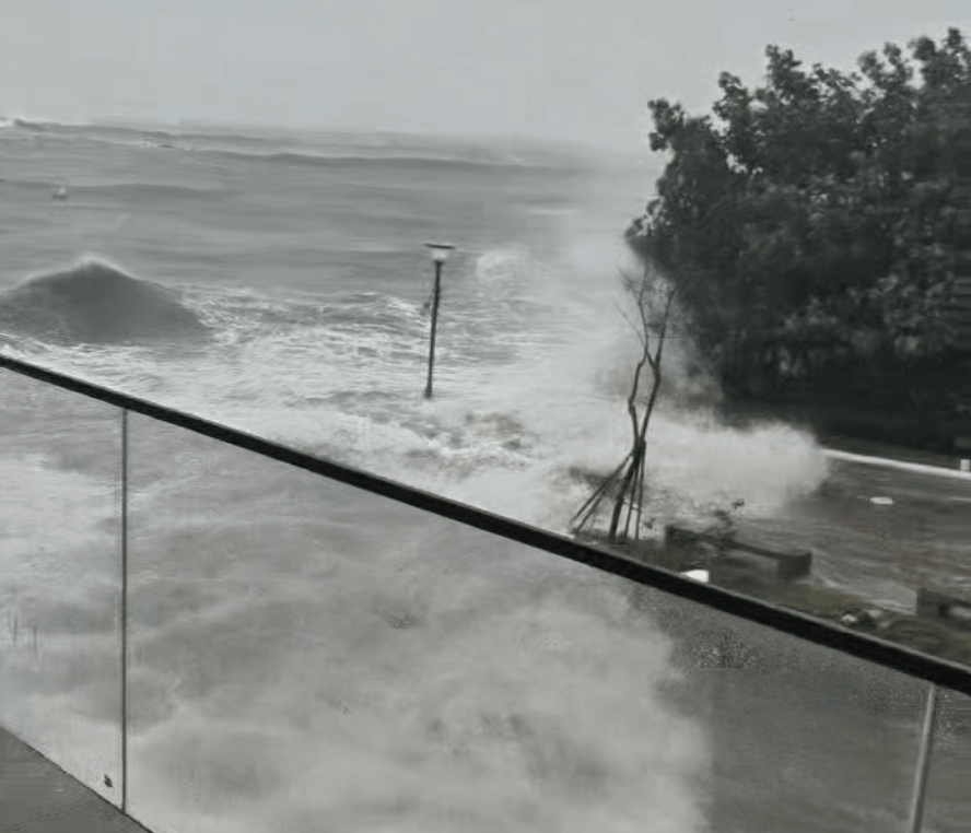 皇冠信用網会员开户申请_湛江徐闻实况:路边大树被强风刮倒皇冠信用網会员开户申请,车辆被砸!台风“麦德姆”即将登陆