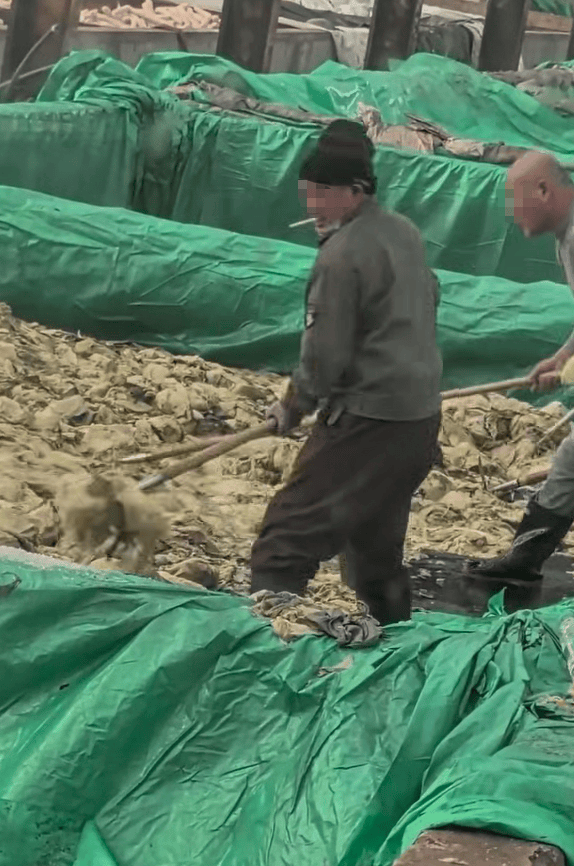 皇冠信用網出租足球
_辽宁葫芦岛一男子酸菜池中抽烟吐痰皇冠信用網出租足球
，曝光视频令人反胃！省市两级市监介入