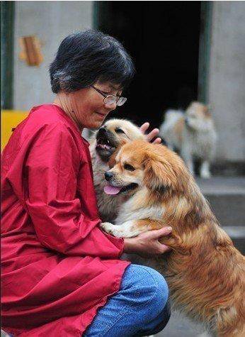 皇冠信用盘网址
_合肥卖房救助流浪狗的魏阿姨离世皇冠信用盘网址
，病中仍然惦记着基地的600只流浪狗，工人：不敢相信世上还有这样执着的人