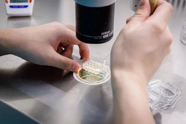 世界杯亚洲区预选赛
_一婴儿出生就15岁世界杯亚洲区预选赛
！被称为“最老婴儿”