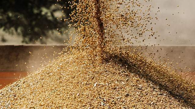 皇冠信用网庄家_中国采购800万吨美国大豆皇冠信用网庄家，美媒争相“报喜”，实则中美角色已互换