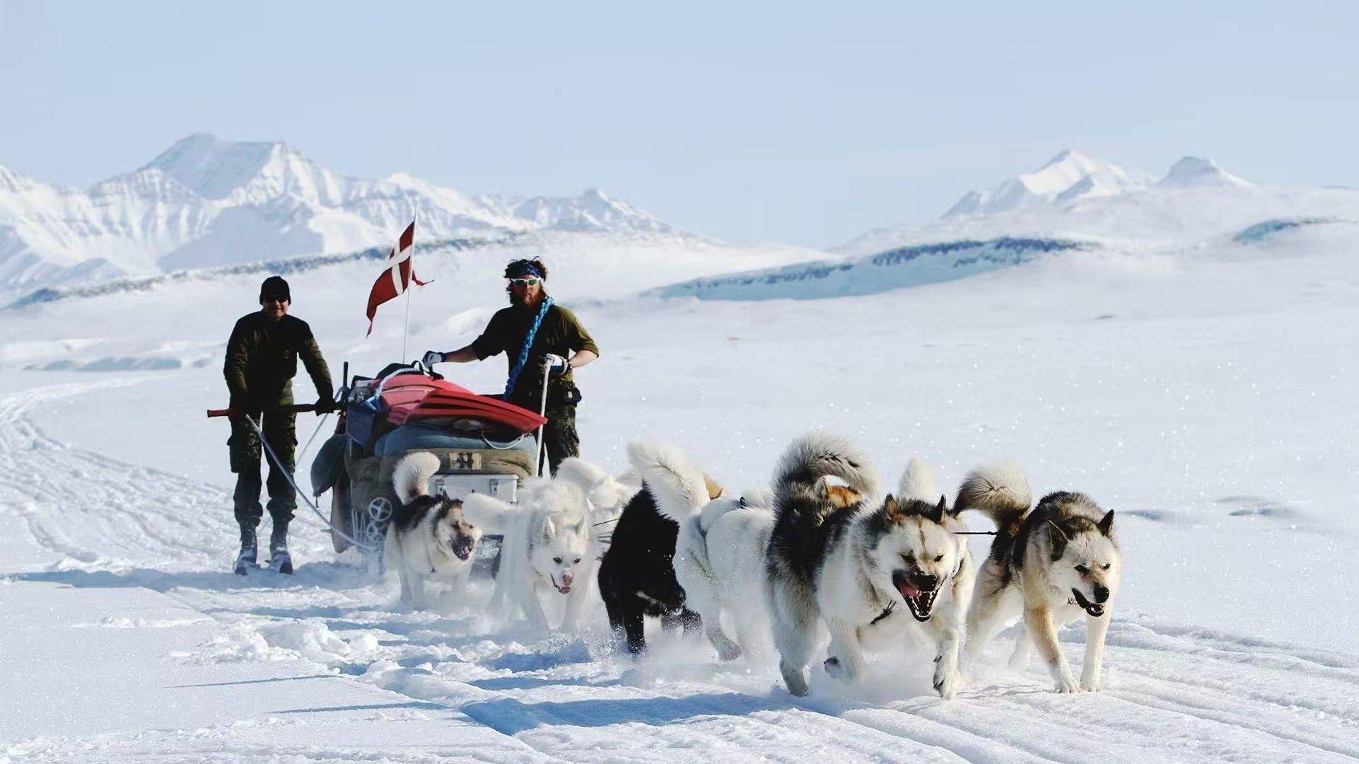 怎么申请皇冠信用网代理_丹麦军事体系起底:拥有地球上最冷的司令部怎么申请皇冠信用网代理,海陆空规模不到2万人