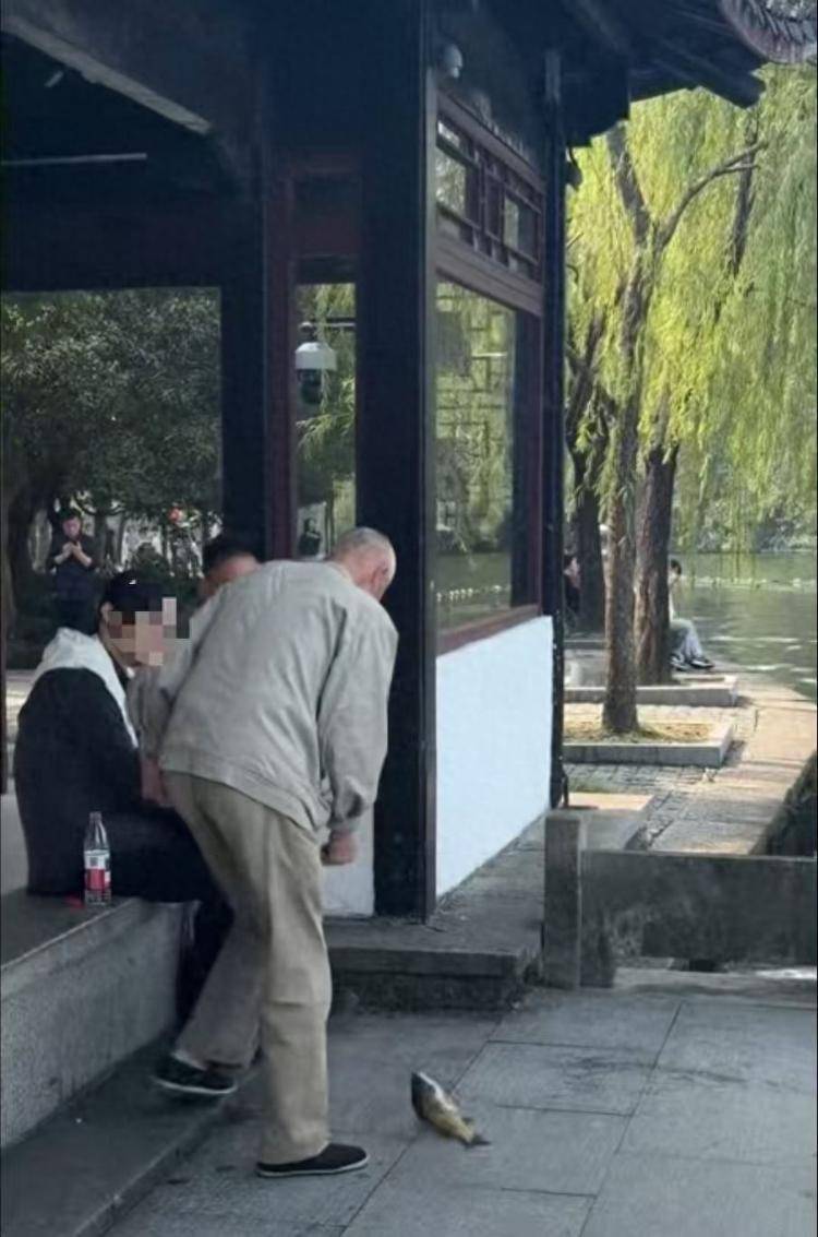 竞彩篮球nba分析预测_老人在西湖边钓鱼后带走竞彩篮球nba分析预测，景区回应：属于偷钓，将加强日常巡查