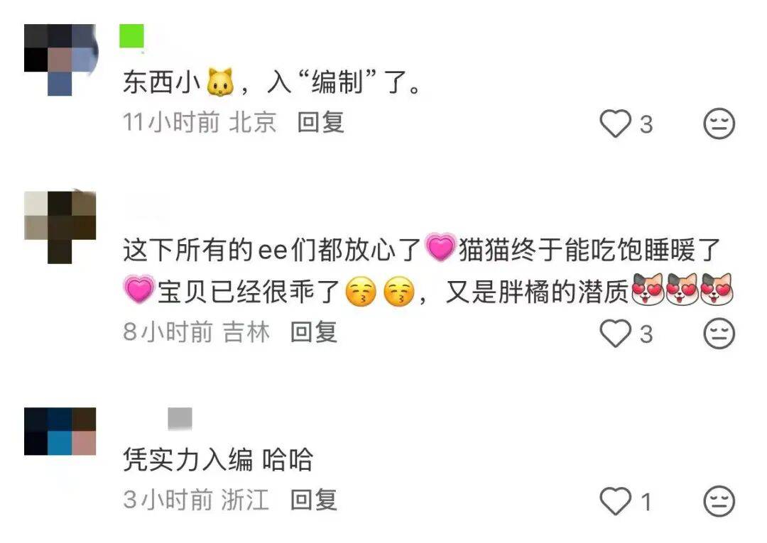 皇冠信用网开号_降温前被“收编”皇冠信用网开号，天安门陪武警站岗执勤的小橘猫或将正式入编“宫猫”，故宫博物院工作人员：正在医院检查，后续会优先找领养
