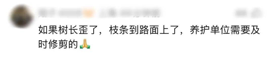世界杯代理_“树全责世界杯代理！”上海一司机撞树喊冤：这棵树长太歪！交警一句话点醒众人