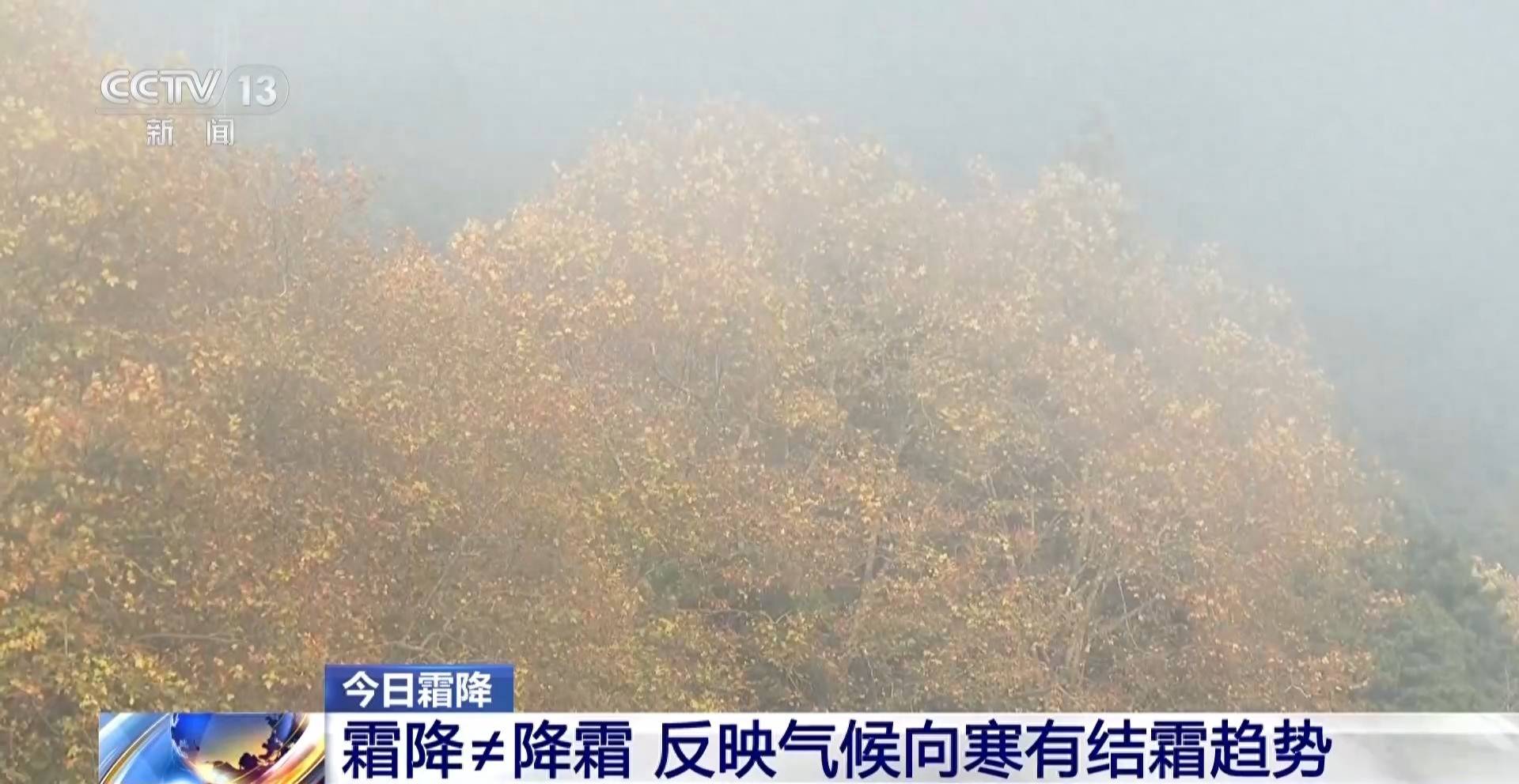皇冠平台出租
_霜降天一定会降霜吗皇冠平台出租
?霜降≠降霜